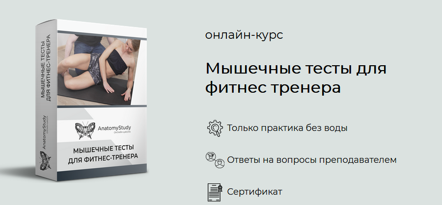 [Андрей Богатырев] Мышечные тесты для фитнес трене_0.png